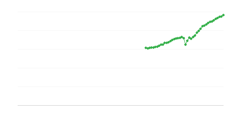 Net ciro – mesleki, bilimsel ve teknik faaliyetler