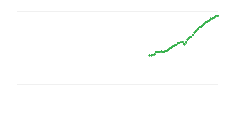 Net ciro – bilgi ve iletişim